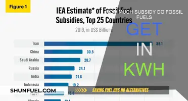 Fossil Fuel Subsidies: How Much Do They Cost Per KWh?