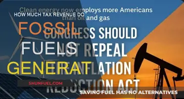 Tax Revenue from Fossil Fuels: A Big Money Question