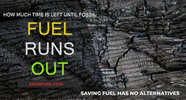 The End of Fossil Fuels: A Looming Deadline