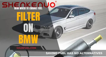 BMW Fuel Filter Replacement: Cost and Service Guide