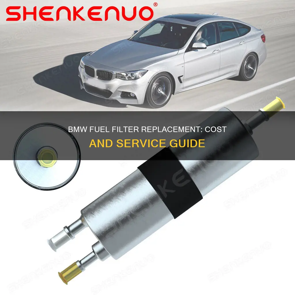 how much to change fuel filter on bmw