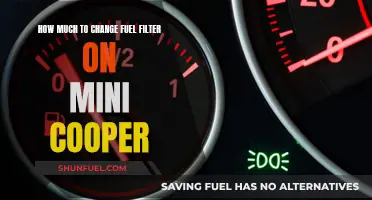 Mini Cooper Maintenance: Replacing Fuel Filter Costs