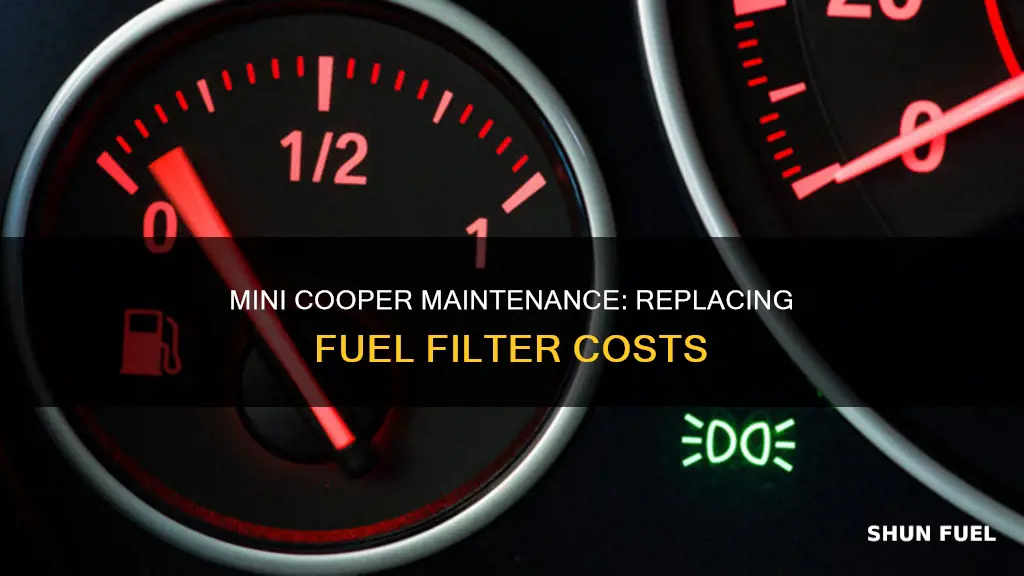 how much to change fuel filter on mini cooper