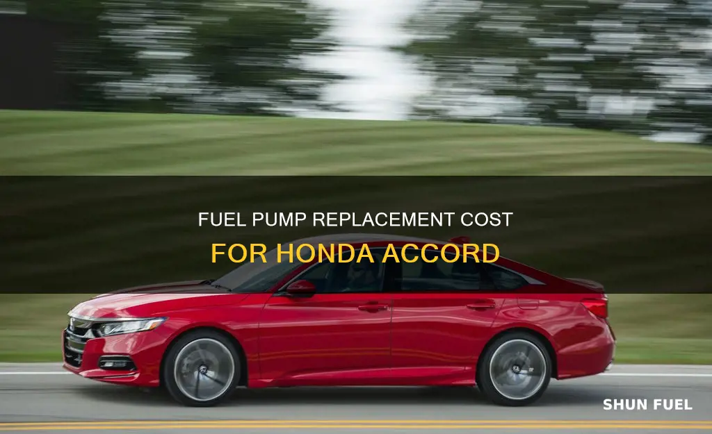 how much to change fuel pump honda accord