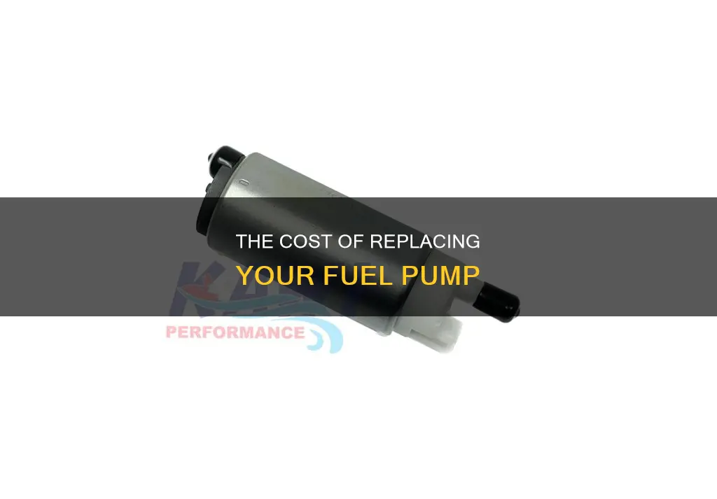 how much to change fuel pump