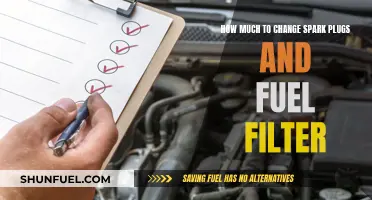 Spark Plug and Fuel Filter Replacement Costs: How Much?