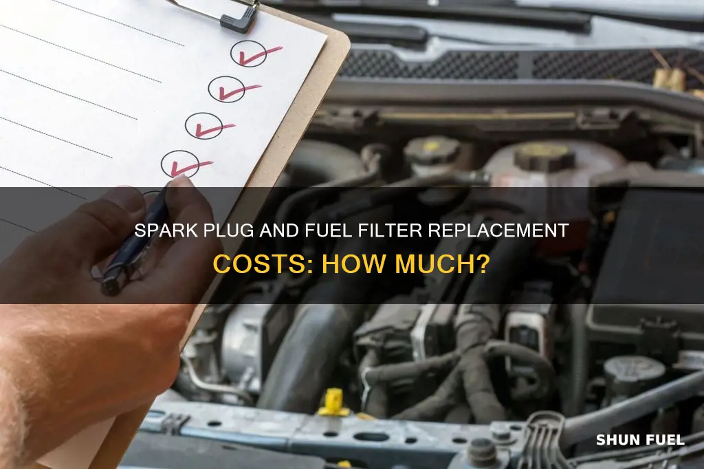 how much to change spark plugs and fuel filter