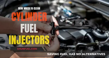 Cleaning Cylinder Fuel Injectors: Cost and Maintenance Tips