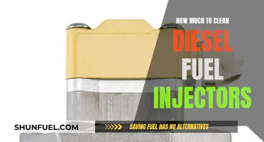 Cleaning Diesel Fuel Injectors: Cost and Maintenance Tips