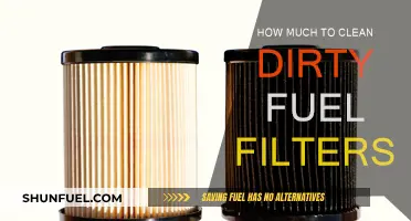 Dirty Fuel Filter Cleaning: Cost and Maintenance