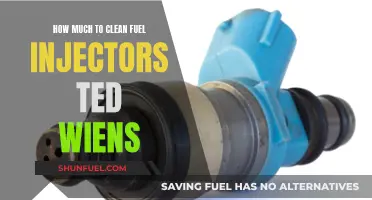 Cleaning Fuel Injectors: Ted Wiens' Expert Guide