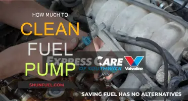 Fuel Pump Cleaning: Cost and Maintenance Tips