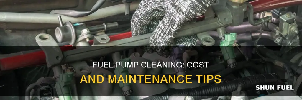 how much to clean fuel pump