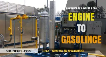 Exploring the Costs: CNG to Gasoline Engine Conversion Guide