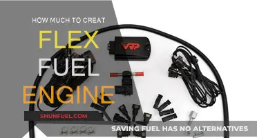Flex Fuel Engines: Costly Conversion or Smart Investment?