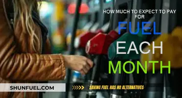 Monthly Fuel Costs: How Much to Budget?