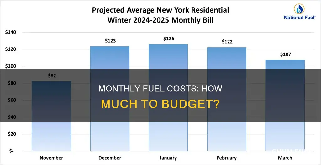 how much to expect to pay for fuel each month