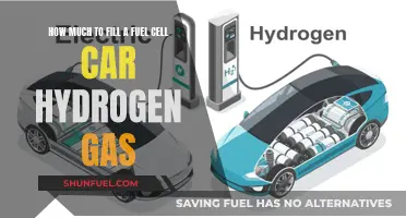 Fueling the Future: Understanding Hydrogen Gas Requirements for Fuel Cell Cars