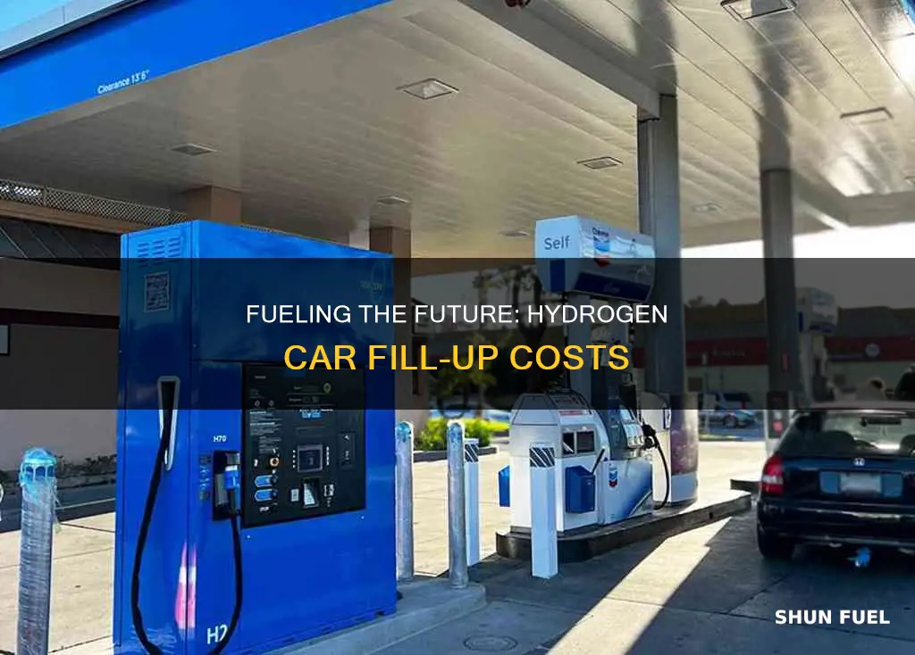 how much to fill a fuel cell car hydrogen gas