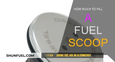 Fuel Scoop Filling: Costs and Capacity