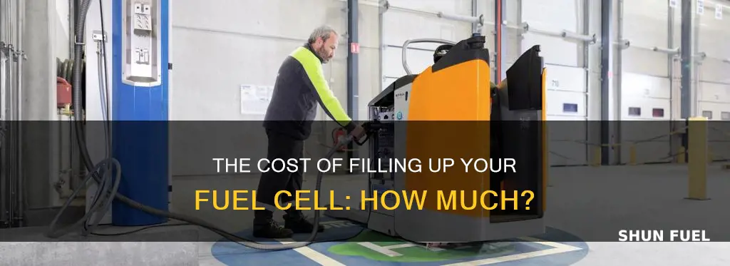 how much to fill up a fuel cell