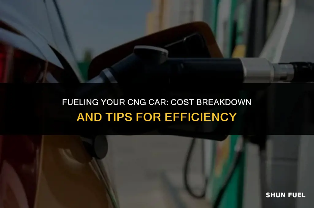 how much to fill up cng car