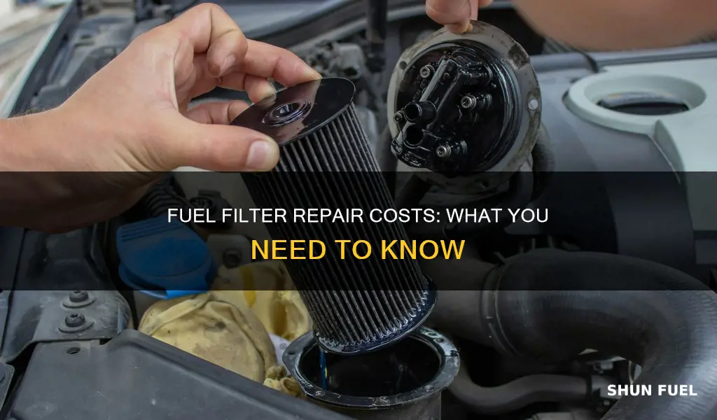 how much to fix a fuel filter