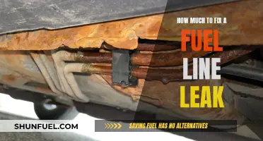 Fixing a Fuel Line Leak: Cost Breakdown and Tips