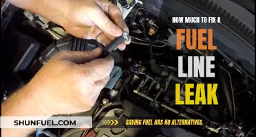 Repairing Fuel Line Leak: What's the Cost?