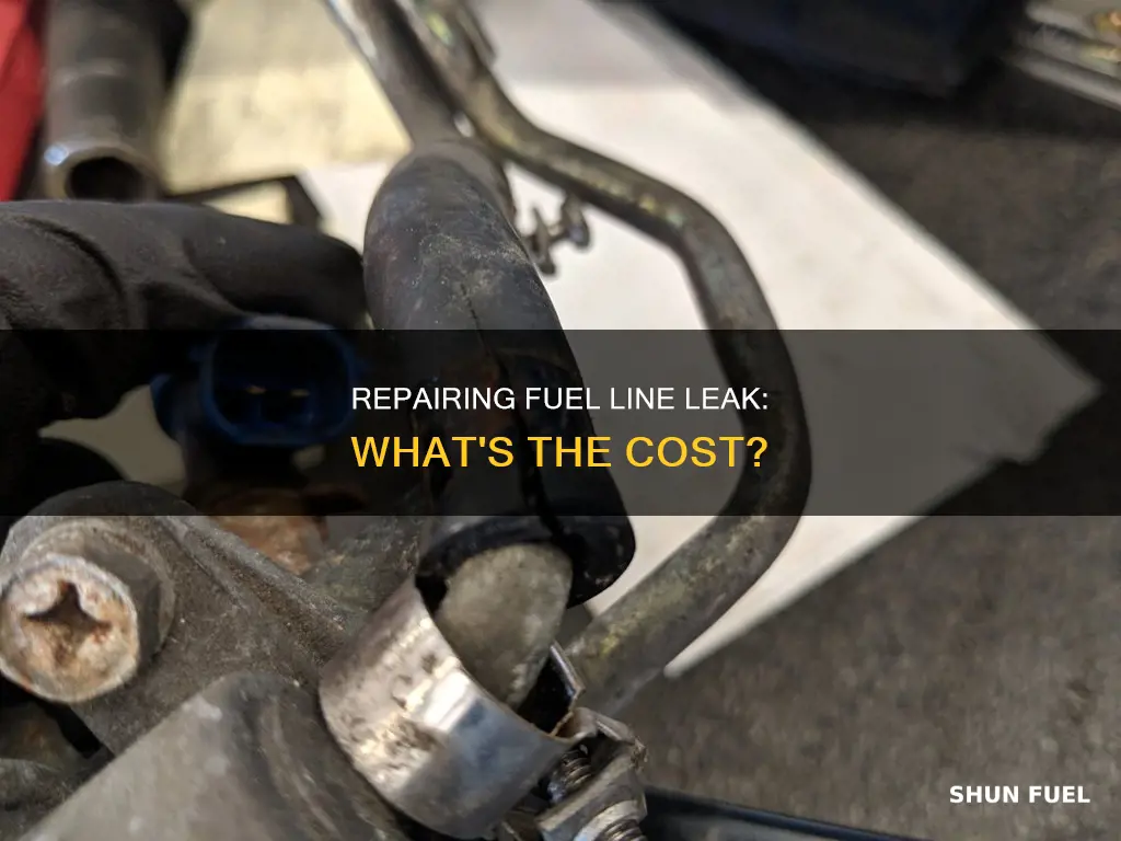 how much to fix a fuel line leak