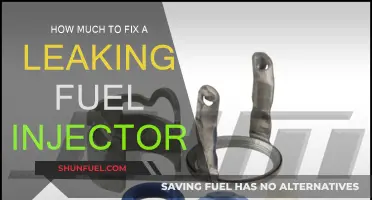 Fuel Injector Leak: Repair Cost and Process
