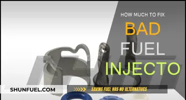 Fuel Injector Repairs: Cost and Maintenance