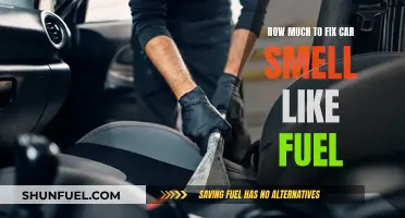 Fixing Car Fuel Smell: Cost and Solutions