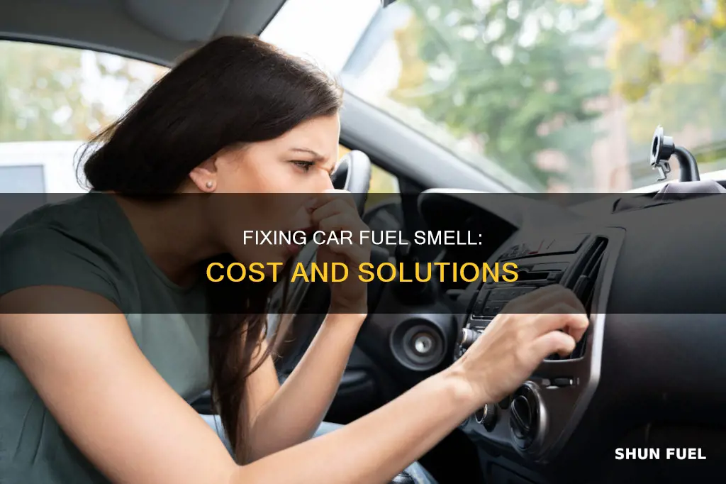 how much to fix car smell like fuel