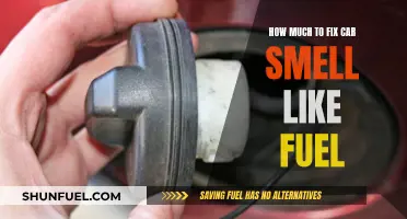 Fixing a Fuel-Smelling Car: What's the Cost?
