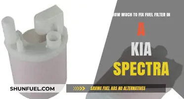 Kia Spectra Fuel Filter Replacement Cost Guide