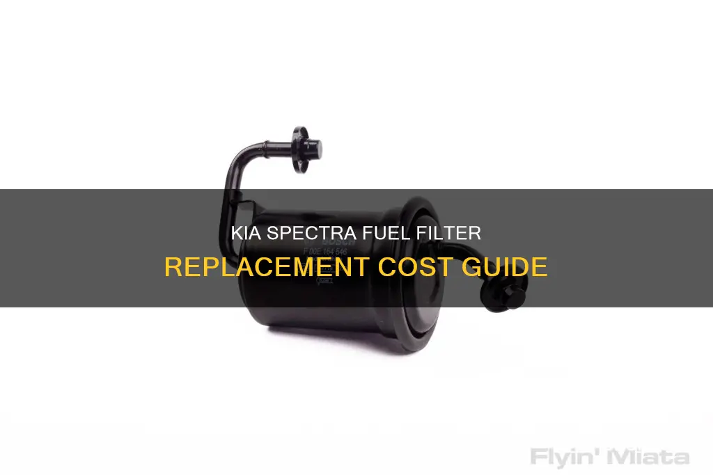 how much to fix fuel filter in a kia spectra
