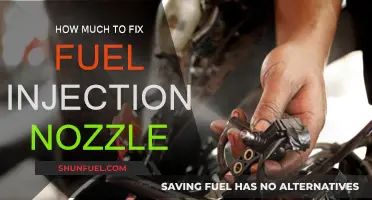 Fuel Injection Nozzle Repairs: Cost and Maintenance