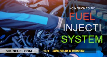 Fuel Injection System Repairs: Cost and Maintenance