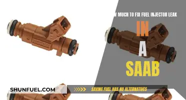 Fuel Injector Leak Fix in a Saab: Cost and Repair