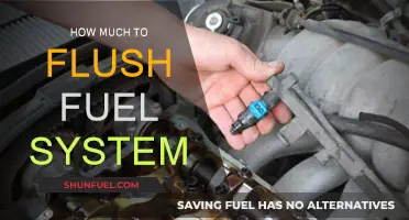 Cost of Flushing Your Fuel System: How Much?