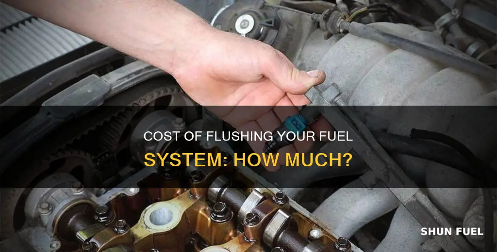 how much to flush fuel system