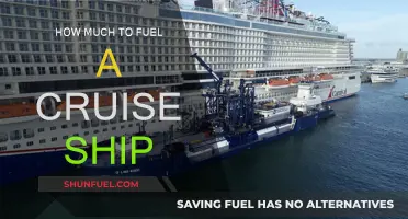 The High Cost of Fueling Cruise Ships