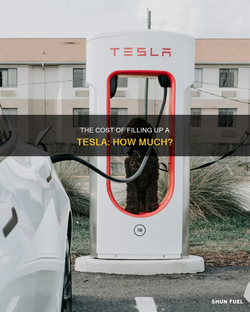how much to fuel a tesla