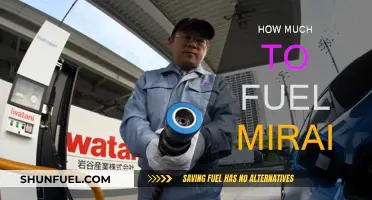 The Cost of Fueling the Mirai