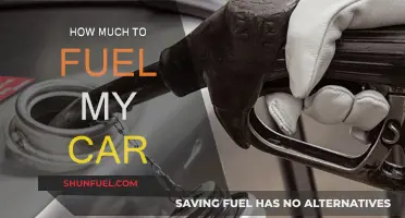 Fuel Costs: How Much Does Filling Up Your Car Cost?