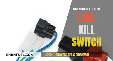 Fuel Line Kill Switch: Cost Guide & Installation Tips