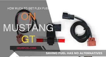 Upgrading Mustang GT to Flex Fuel: Cost Analysis