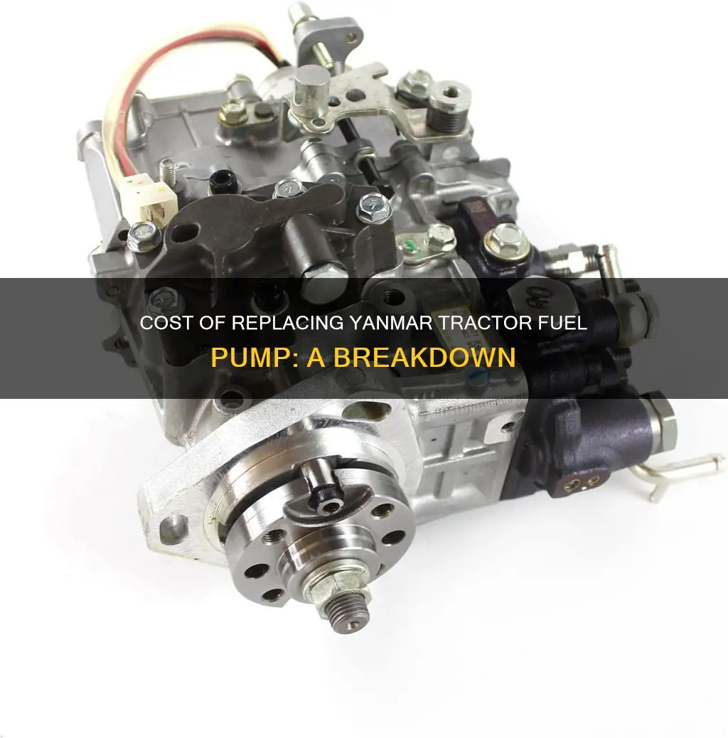 how much to have fuel pump replaced in yanmar tracktor