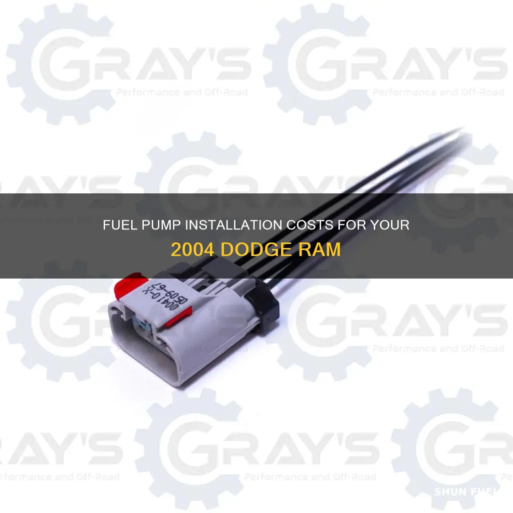 how much to install fuel pump in 2004 dodge ram